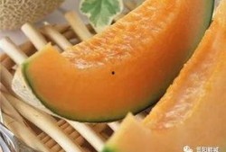 瓜姐吃哈密瓜,甜蜜滋味，尽享夏日