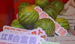 江门荷塘吃瓜,夏日消暑吃瓜新去处