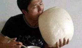 白发大佬吃瓜,揭秘娱乐圈幕后风云