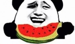 吃瓜群众菜狗,吃瓜群众的趣味生活