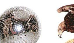 吃瓜河豚lofter,揭秘Lofter上的美食与生活趣味