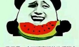 甜甜请吃瓜,一场甜蜜的瓜分盛宴