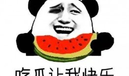 甘做吃瓜群众,揭秘网络围观背后的社会现象