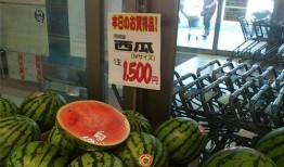 吃成圣吃瓜,揭秘吃瓜界的传奇故事