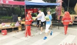 吃瓜热心市民,见证娱乐圈风云变幻的幕后推手