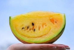 云南如何吃瓜,解锁夏日吃瓜新姿势