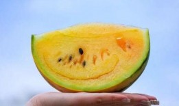 云南如何吃瓜,解锁夏日吃瓜新姿势