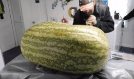 海外吃瓜事件,揭秘网络舆论的狂欢与争议