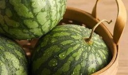 冰儿吃瓜,揭秘娱乐圈那些不为人知的幕后故事