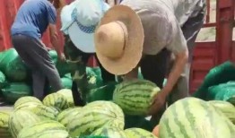 凤凰网吃瓜,揭秘娱乐圈幕后真相，带你领略明星们的真实生活