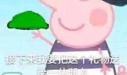 小猪吃瓜表情,萌态可掬，欢乐满溢