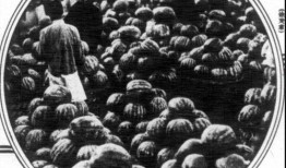 上海热门吃瓜事件,揭秘近期热门吃瓜事件背后的真相