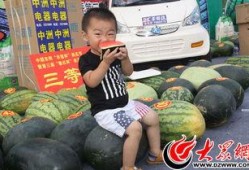 吃瓜小家伙,揭秘娱乐圈那些不为人知的幕后故事