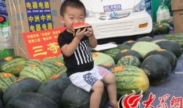 吃瓜小家伙,揭秘娱乐圈那些不为人知的幕后故事