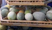 吃瓜观主,吃瓜观主带你领略明星幕后故事