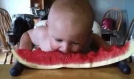 宝宝吃瓜可爱模样