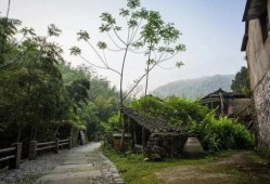 墓地吃瓜宁溪,吃瓜宁溪的神秘探险之旅