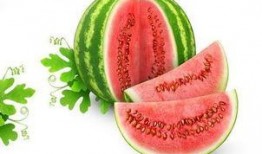 黯淡星吃瓜版,揭秘吃瓜版背后的娱乐风云