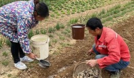 农村公婆另类吃瓜