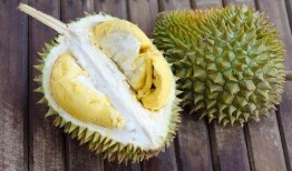 吃榴莲还有哈密瓜,热带与沙漠的甜蜜邂逅