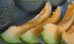 宾川四中吃瓜,揭秘校园里的热点话题