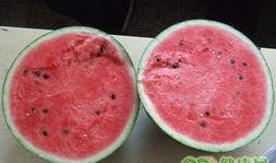 夏天吃绿宝瓜上火吗