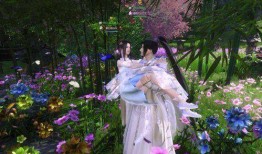 逆水寒海棠吃瓜,海棠吃瓜，揭秘江湖风云背后的真相