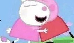 小猪吃瓜表情,萌态可掬，欢乐满溢