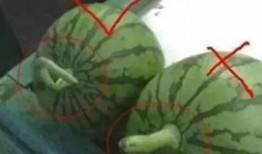 论吃瓜现象,网络时代下的围观文化现象解析