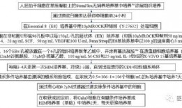 吃瓜手机中病毒,揭秘病毒传播途径及防护措施