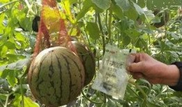 雨欣吃瓜,揭秘娱乐圈幕后故事