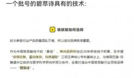 吃瓜系列完结文,揭秘娱乐圈背后的真相与落幕
