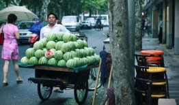 吃瓜视频售卖,揭秘热门瓜子的幕后故事