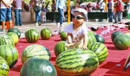 月底瓜可以吃吗,哪些瓜可以放心食用