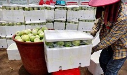 宾阳黎塘吃瓜,探寻黎塘特色吃瓜之旅