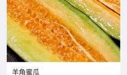吃羊瓜和蜜瓜哪个好,口感与营养的较量，哪个更胜一筹？”