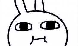 吃瓜圆圈圈,网络热议背后的真相与趣味