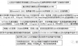 吃瓜手机中病毒,揭秘病毒传播途径及防护措施