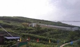 临朐吃瓜群众事件,一场网络舆论的风暴与反思