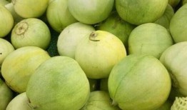 吃甜瓜不吃泄瓜,甜瓜与泄瓜的饮食选择