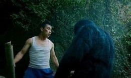 吃瓜妹说电影,电影深度解析