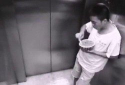 电梯吃瓜被抢,抢瓜大战背后的社会现象解析