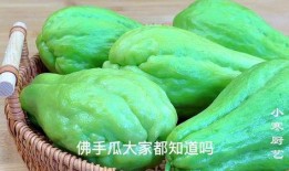 吃佛手瓜的营养,全面解析其健康益处