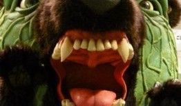 熊吃哈密瓜,一场甜蜜的邂逅