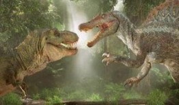 棘龙吃瓜视频大全,瓜果盛宴视频大盘点