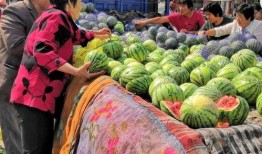 吃瓜自由活动,揭秘娱乐圈幕后故事