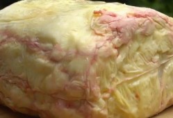 郝哥吃瓜,揭秘娱乐圈那些不为人知的幕后故事