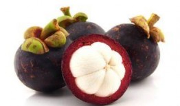 山竹吃瓜,揭秘热带水果界的“黑珍珠”