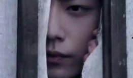 吃瓜老祖,揭秘娱乐圈那些不为人知的幕后故事