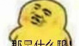 吃彩瓜表情包,趣味横生的网络文化现象